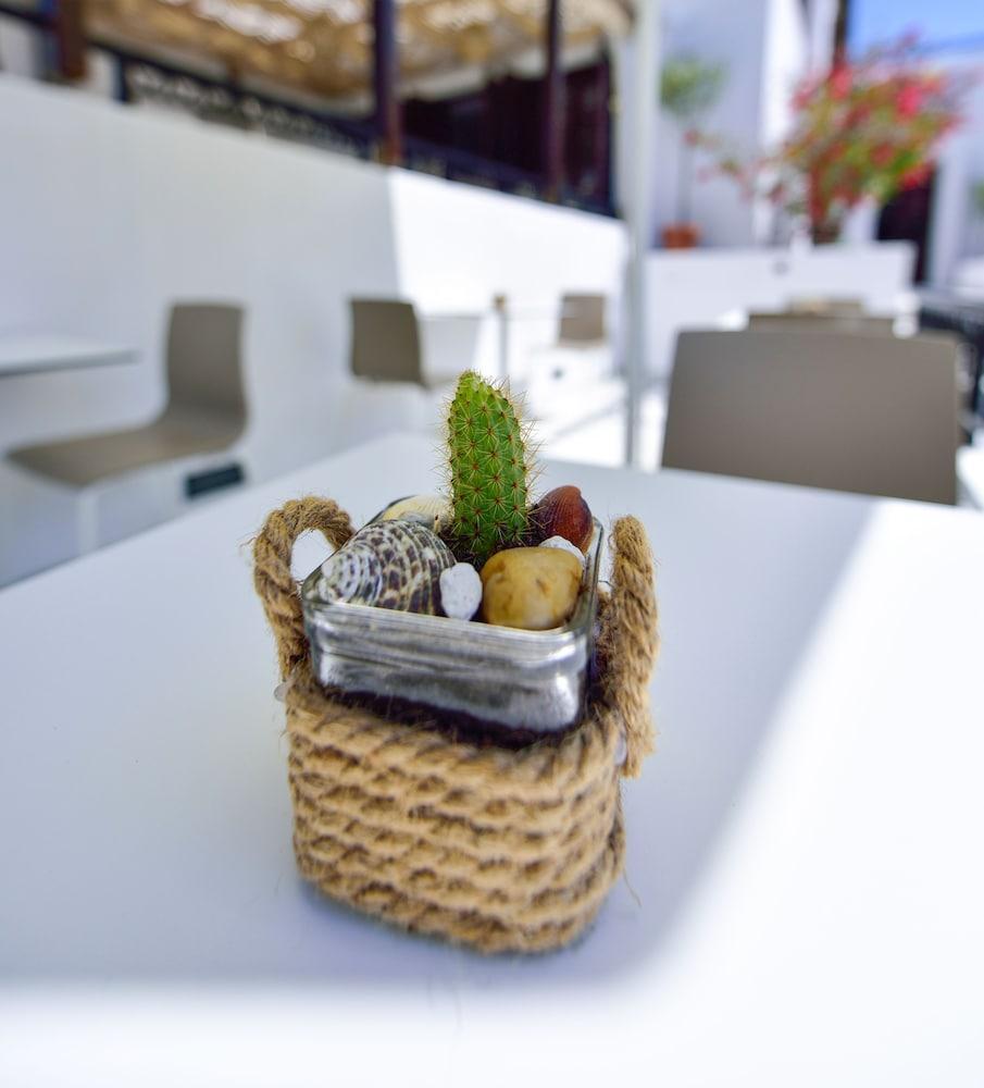 Kalidon Beach Hotel Kokkari Eksteriør billede